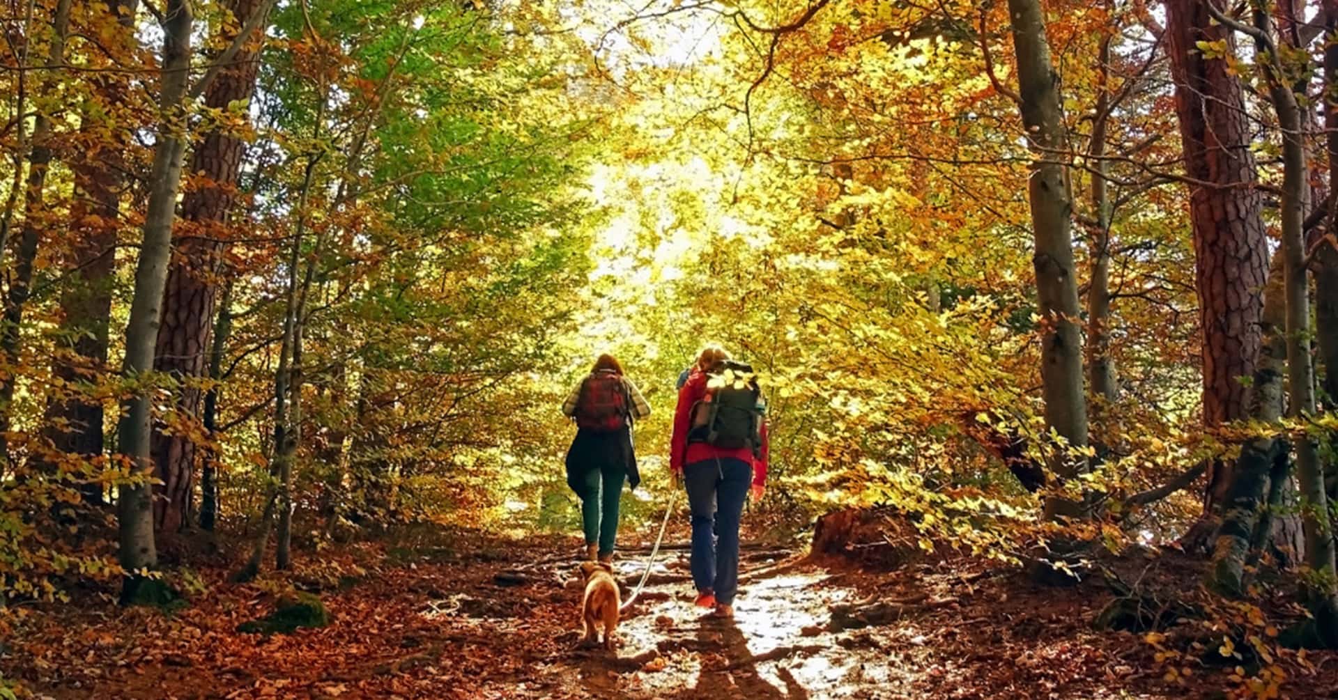 Sezioni CAI al lavoro per l'autunno